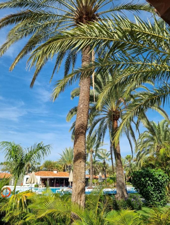 Sun Club P65 Premium Bungalow Maspalomas  Exteriér fotografie