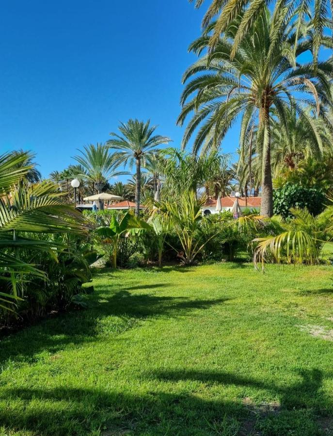 Sun Club P65 Premium Bungalow Maspalomas  Exteriér fotografie