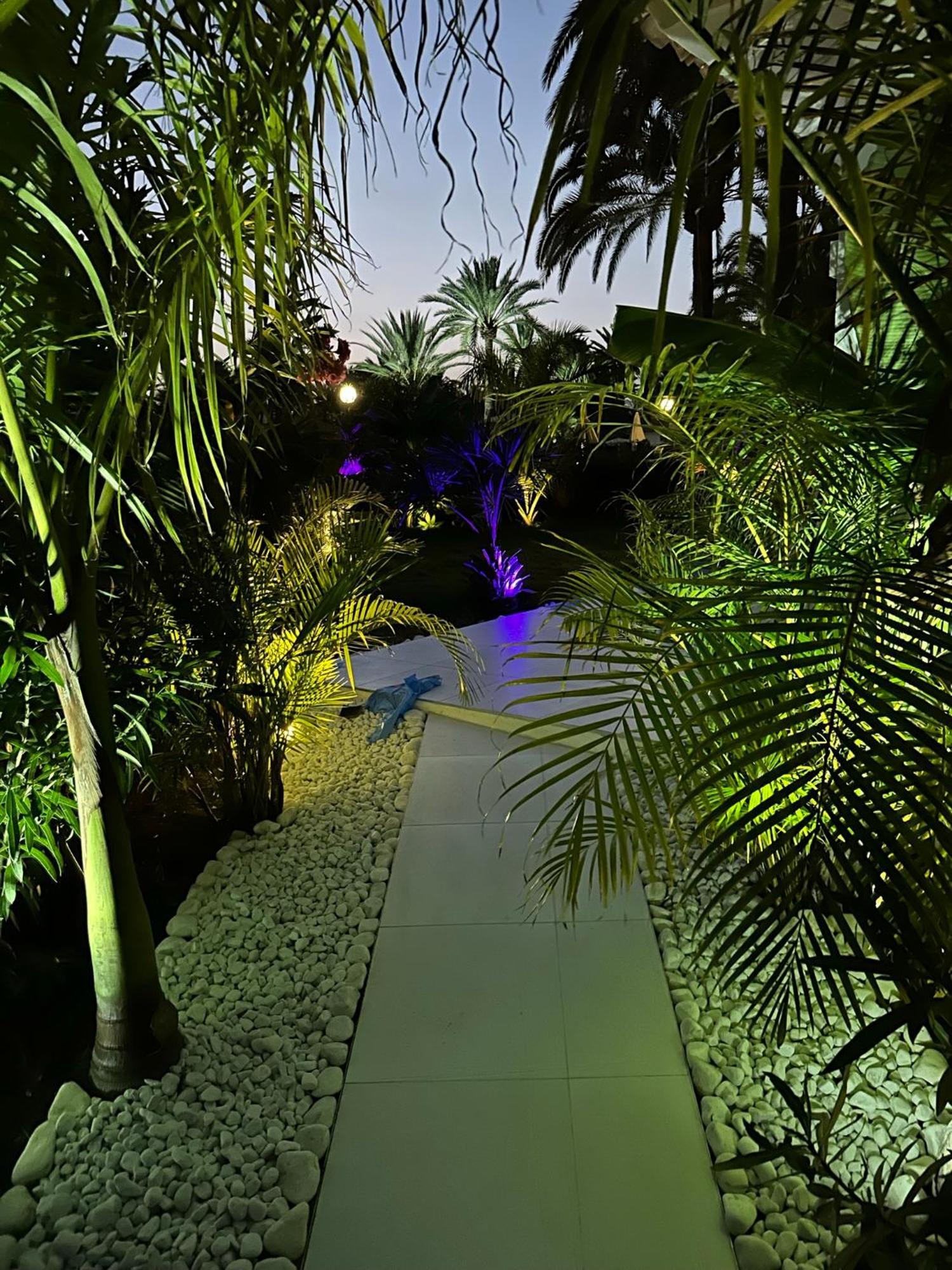 Sun Club P65 Premium Bungalow Maspalomas  Exteriér fotografie